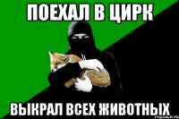 поехал в цирк выкрал всех животных