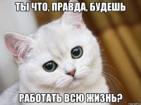 ты что, правда, будешь работать всю жизнь?