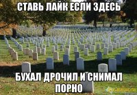 СТАВЬ ЛАЙК ЕСЛИ ЗДЕСЬ БУХАЛ ДРОЧИЛ И СНИМАЛ ПОРНО