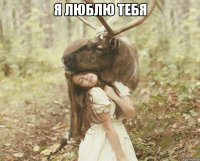 я люблю тебя 