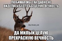 Любимая,мы так давно не виделись,будто бы целую вечность Да милый,целую прекрасную вечность