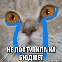  Не поступила на бюджет
