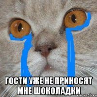  Гости уже не приносят мне шоколадки
