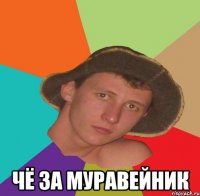  чё за муравейник