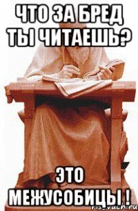 что за бред ты читаешь? это межусобицы !