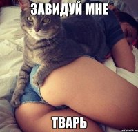 Завидуй мне тварь