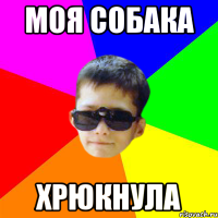 МОЯ СОБАКА ХРЮКНУЛА