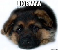 любаааа 