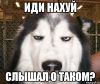 иди нахуй слышал о таком?