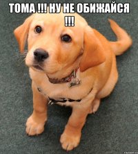 Тома !!! Ну не обижайся !!! 
