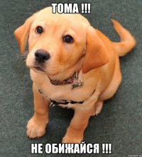 Тома !!! Не обижайся !!!