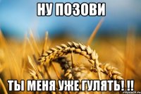 ну позови ты меня уже гулять! !!