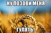 Ну позови меня гулять!