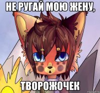 Не ругай МОЮ жену, творожочек