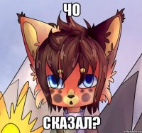 Чо сказал?