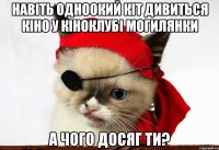 навіть одноокий кіт дивиться кіно у кіноклубі могилянки а чого досяг ти?
