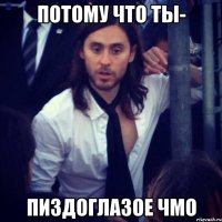 ПОТОМУ ЧТО ТЫ- ПИЗДОГЛАЗОЕ ЧМО
