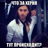 что за херня тут происходит?