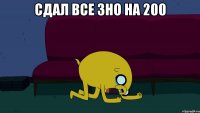 Сдал все зно на 200 