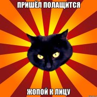 Пришёл полащится Жопой к лицу