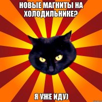 Новые магниты на холодильнике? Я уже иду)