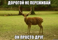 Дорогой не переживай Он просто друг