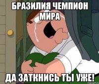 Бразилия чемпион мира да заткнись ты уже!