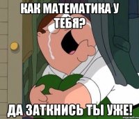 как математика у тебя? Да заткнись ты уже!