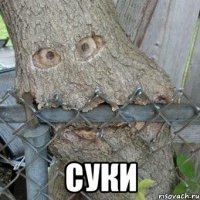  суки