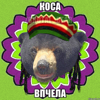 КОСА ВПЧЕЛА