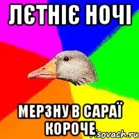 Лєтніє ночі Мерзну в сараї короче