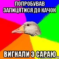 Попробував залицятися до качок вигнали з сараю