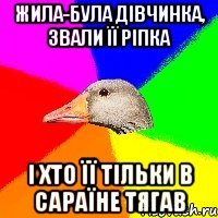 Жила-була дівчинка, звали її Ріпка і хто її тільки в сараїне тягав