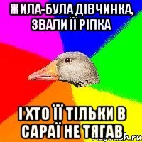 Жила-була дівчинка, звали її Ріпка і хто її тільки в сараї не тягав