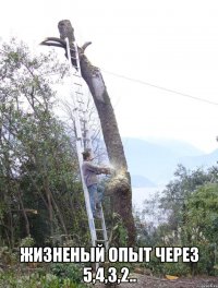  Жизненый опыт через 5,4,3,2..