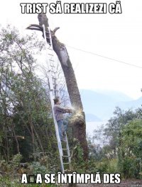 Trist să realizezi că așa se întîmplă des