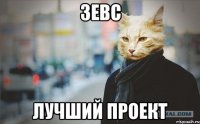 Зевс Лучший проект