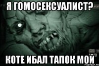 я гомосексуалист? коте ибал тапок мой