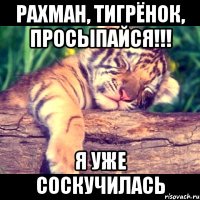 Рахман, тигрёнок, просыпайся!!! Я уже соскучилась