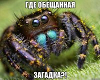 Где обещанная ЗАГАДКА?!