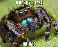 Я приду к тебе Ночью