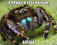 Я приду к тебе ночью, Алёша