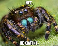 Нет. Не хватит.