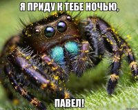 Я приду к тебе ночью, Павел!