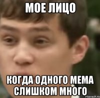 МОЕ ЛИЦО КОГДА ОДНОГО МЕМА СЛИШКОМ МНОГО