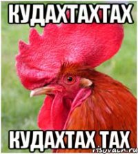 кудахтахтах кудахтах тах