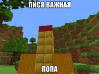 пися важная попа