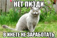 Нет пизди в инете не заработать