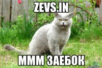 Zevs.in ммм заебок