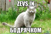 Zevs.in бодрячком